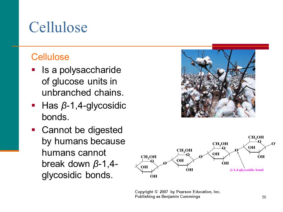 Cellulose Cellulose. Is a polysaccharide of glucose units in unbranched chains. Has β-1,4-glycosidic bonds.