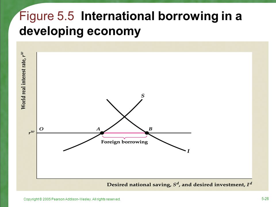 Figure 5.5 International borrowing in a developing economy