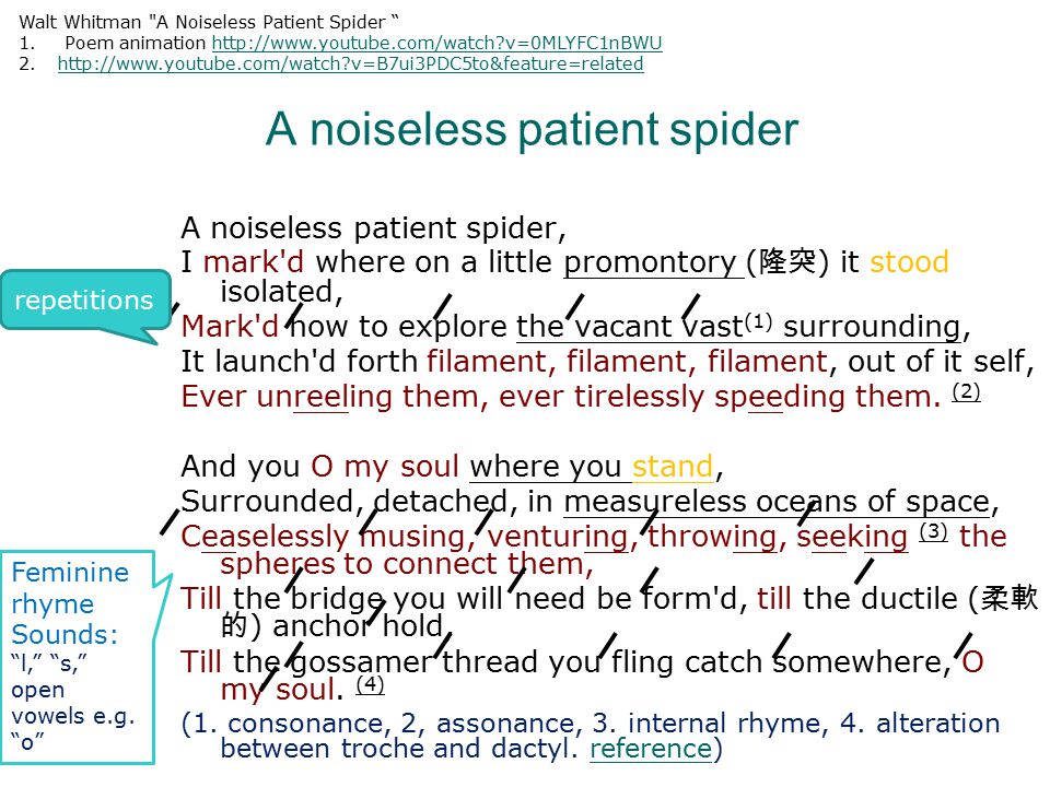 A noiseless patient spider