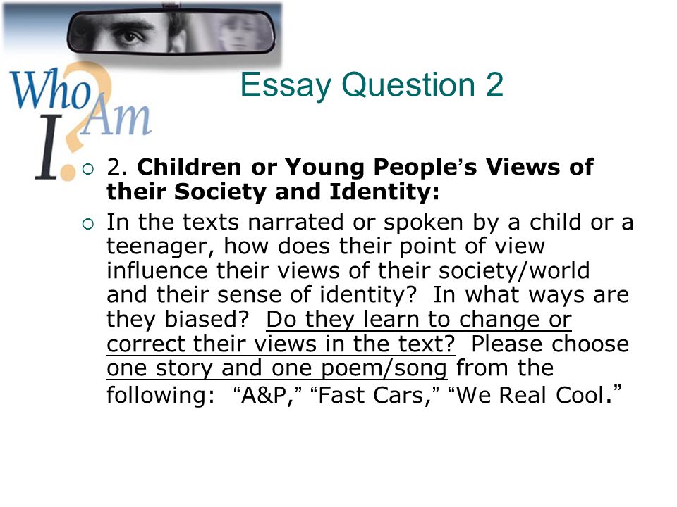 Essay Question 2 2. Children or Young People’s Views of their Society and Identity:
