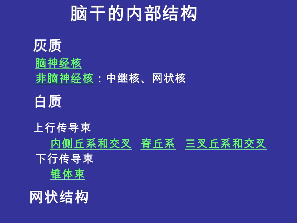 脑干the brain stem ppt video online download