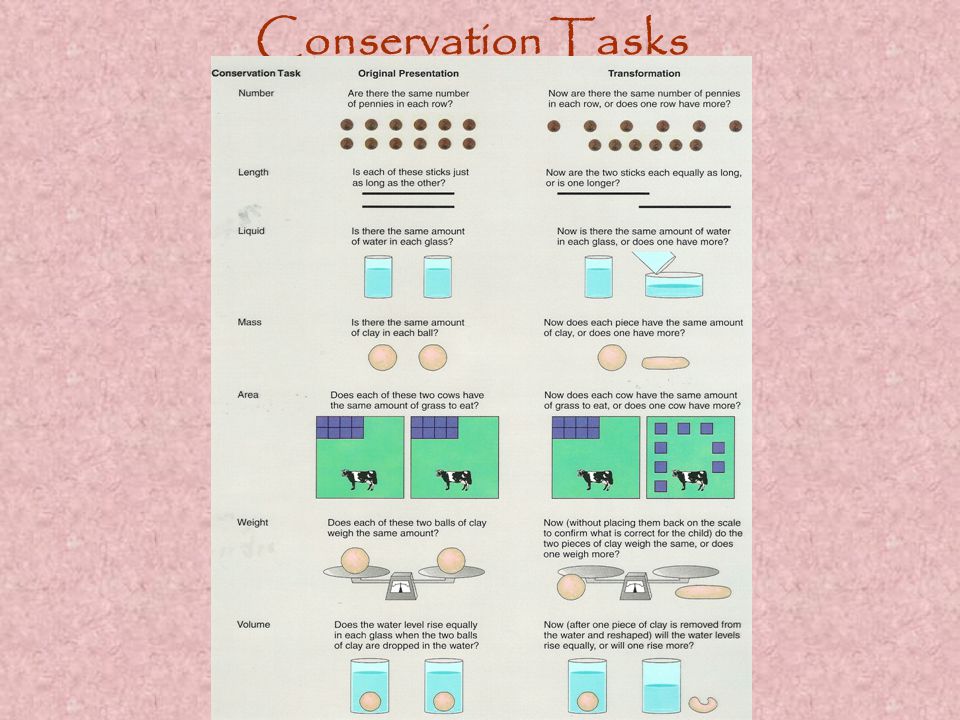 Conservation Tasks