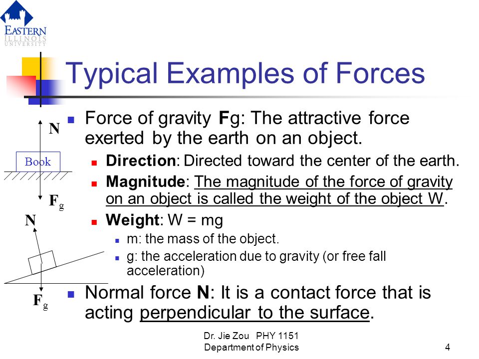 Typical Examples of Forces
