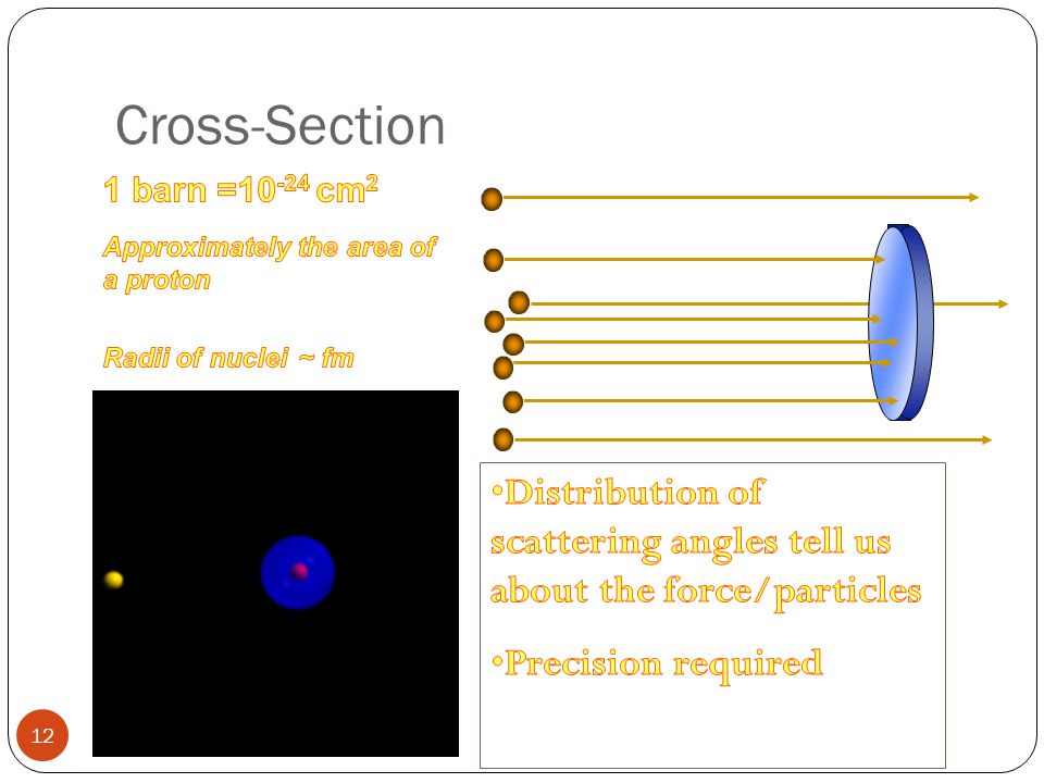 Cross-Section Approximately the area of a proton Radii of nuclei ~ fm