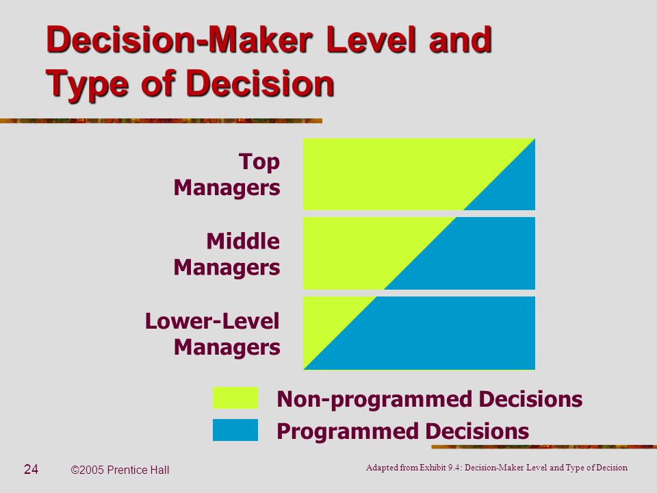 Decision Maker+Level+and+Type+of+Decision
