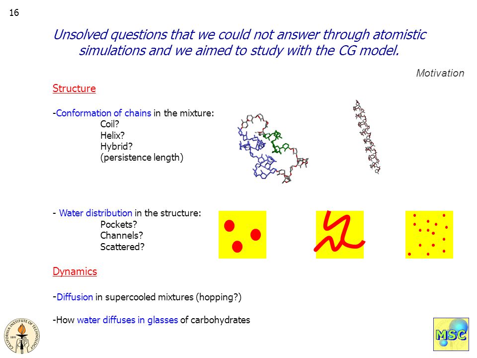 Unsolved questions that we could not answer through atomistic simulations and we aimed to study with the CG model.