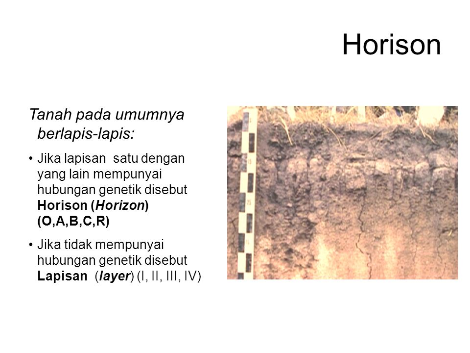 Horison Tanah pada umumnya berlapis-lapis: