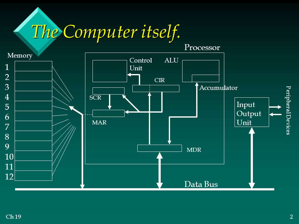 The Computer itself. Processor Data Bus