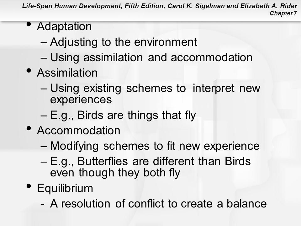 Adaptation Adjusting to the environment. Using assimilation and accommodation. Assimilation. Using existing schemes to interpret new experiences.