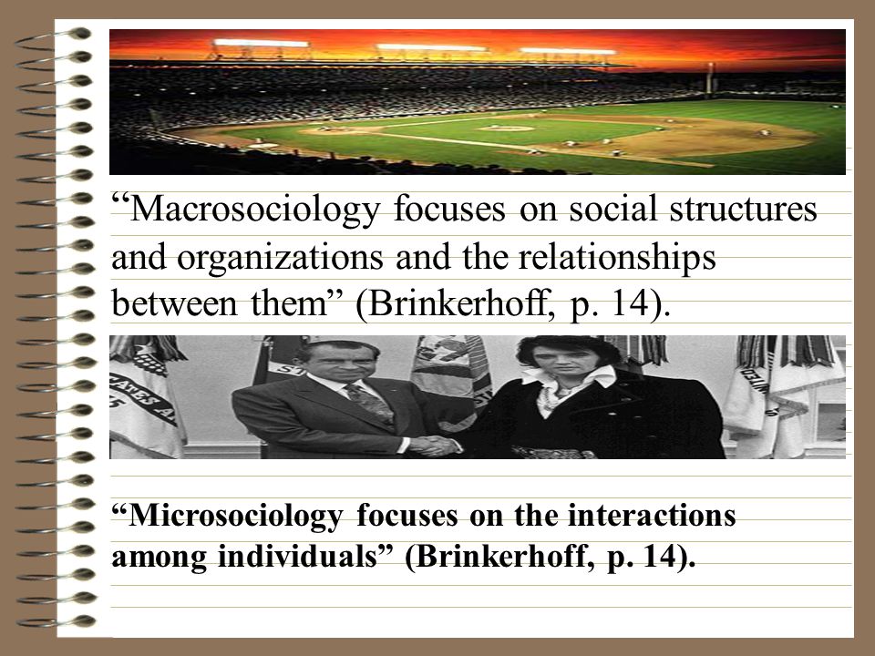 Macrosociology focuses on social structures and organizations and the relationships between them (Brinkerhoff, p. 14).