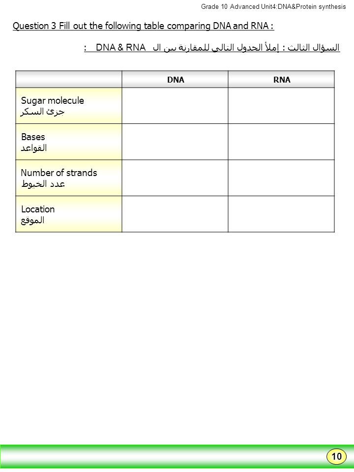Complete The Following Chart Comparing Dna And Rna