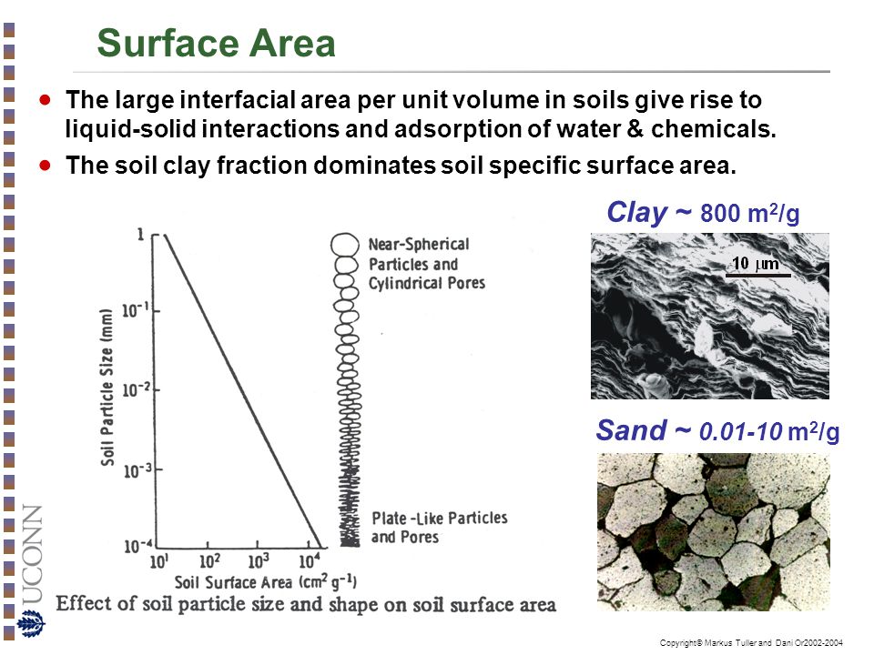 Surface Area Clay ~ 800 m2/g Sand ~ m2/g