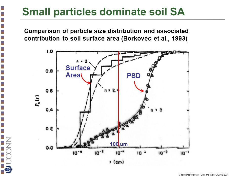 Small particles dominate soil SA