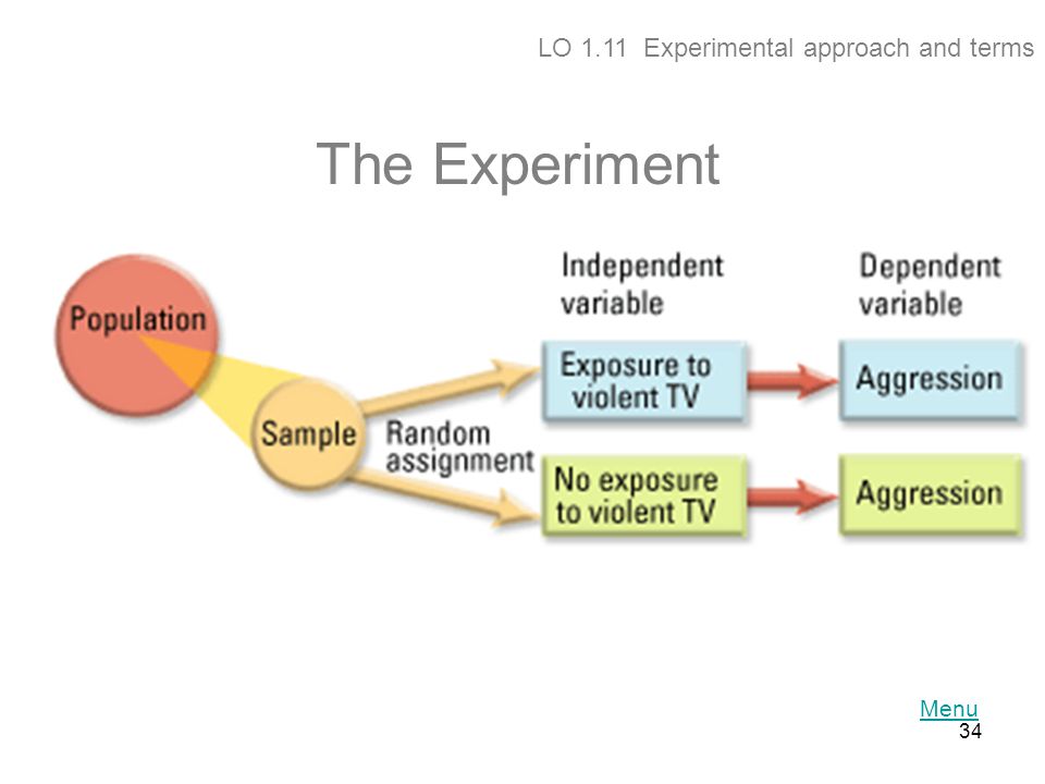 LO 1.11 Experimental approach and terms