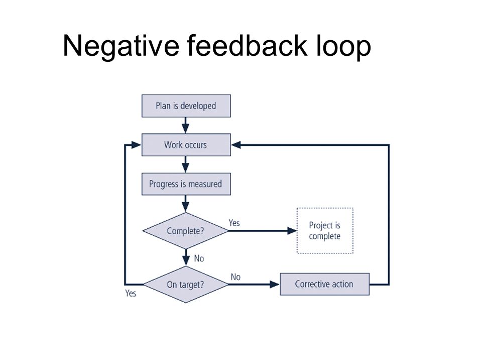 Negative feedback loop