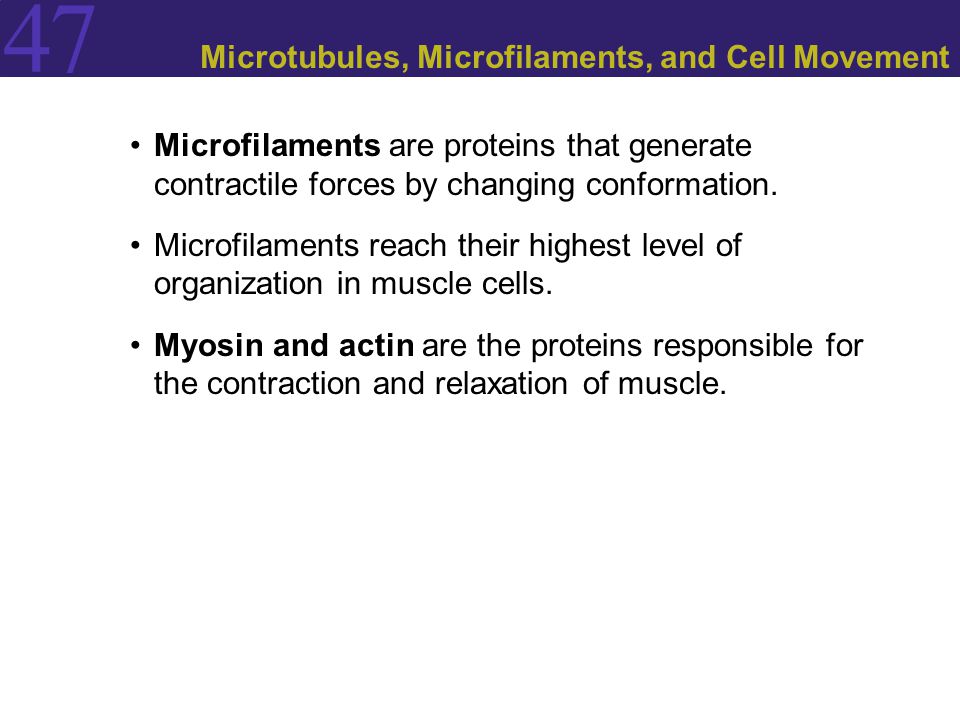 Microtubules, Microfilaments, and Cell Movement