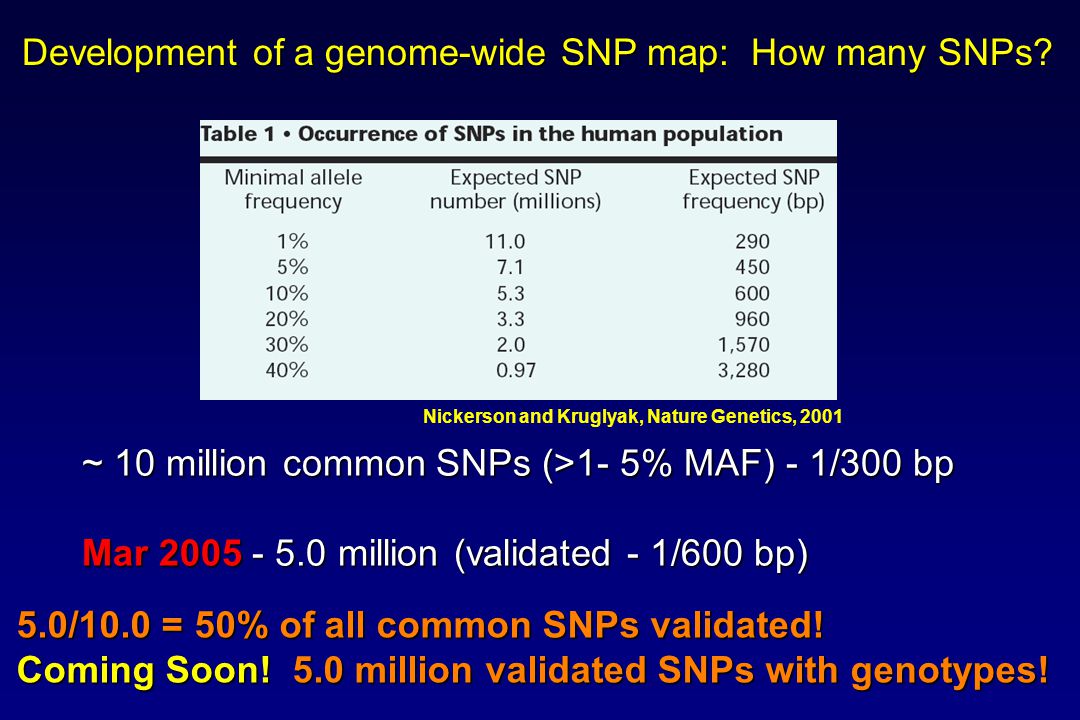 Development of a genome-wide SNP map: How many SNPs