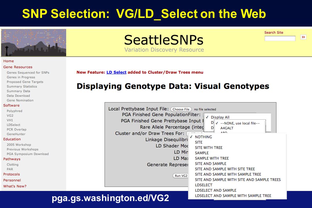 SNP Selection: VG/LD_Select on the Web