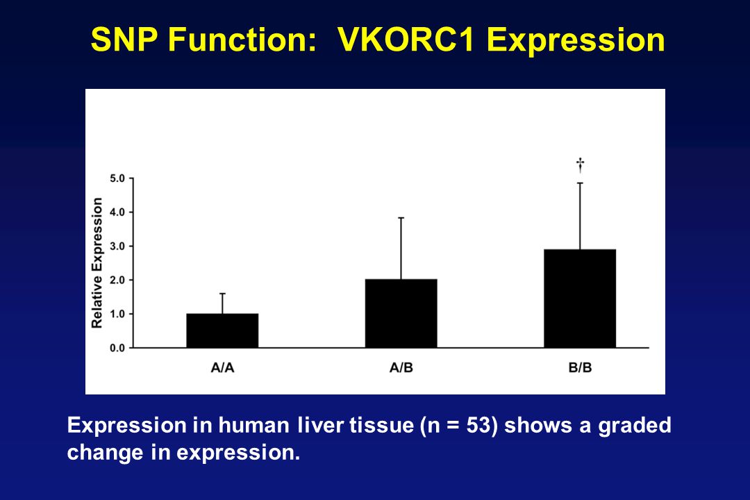 SNP Function: VKORC1 Expression
