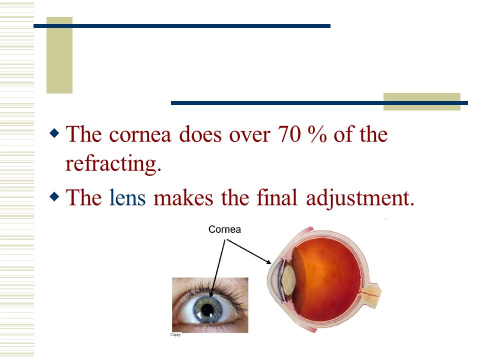 The cornea does over 70 % of the refracting.
