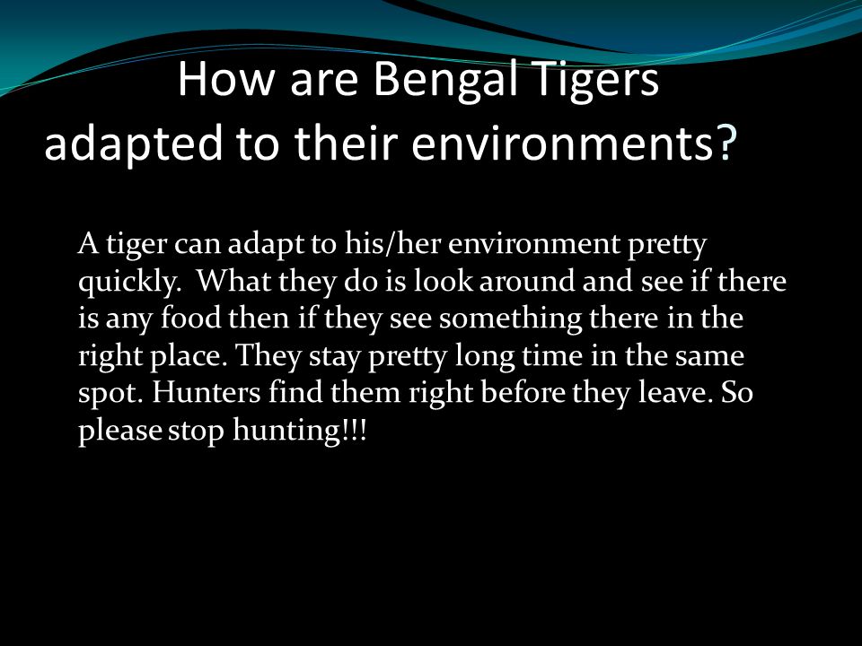 How are Bengal Tigers adapted to their environments
