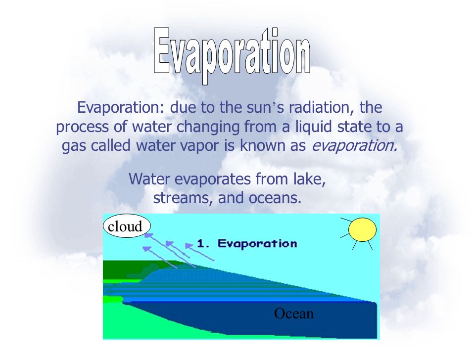Water evaporates from lake, streams, and oceans.