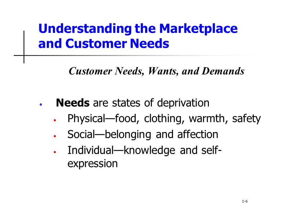 Understanding the Marketplace and Customer Needs