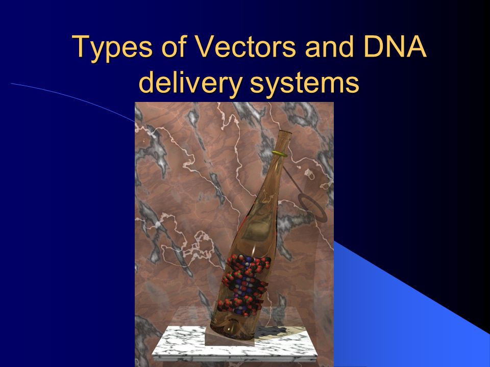 Types of Vectors and DNA delivery systems