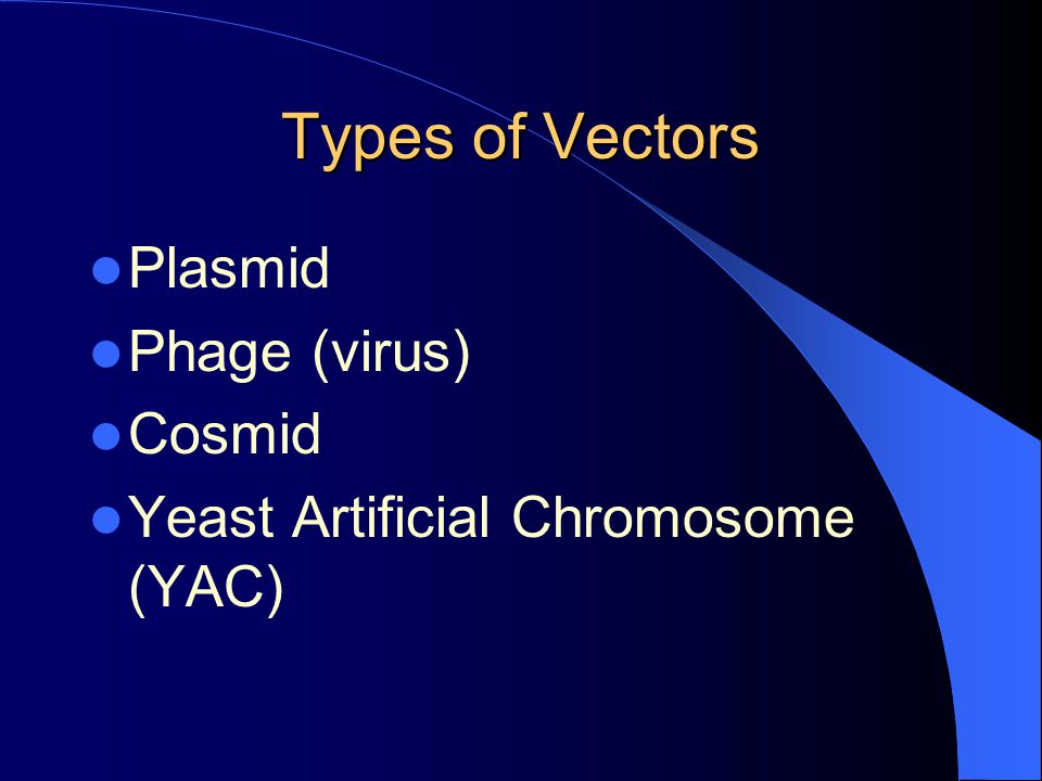 Types of Vectors Plasmid Phage (virus) Cosmid
