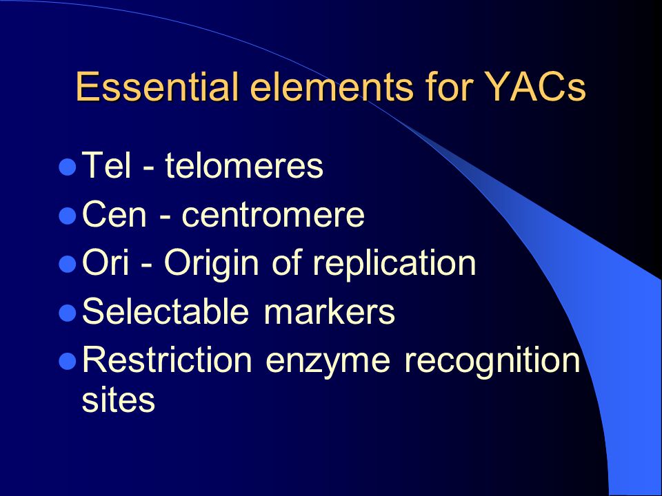 Essential elements for YACs
