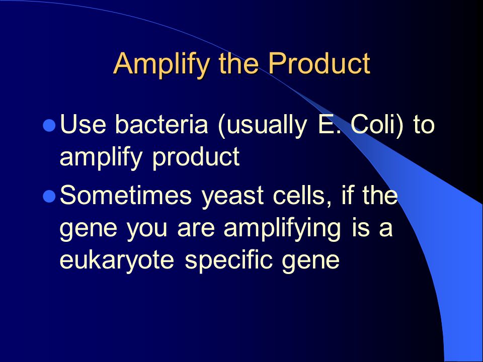Amplify the Product Use bacteria (usually E. Coli) to amplify product