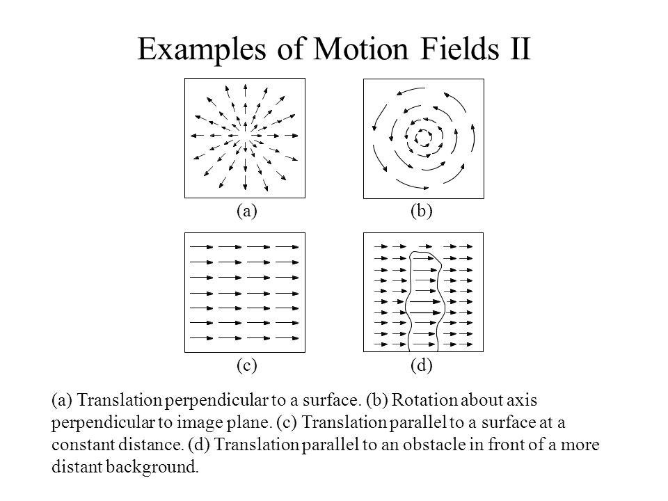 Examples of Motion Fields II
