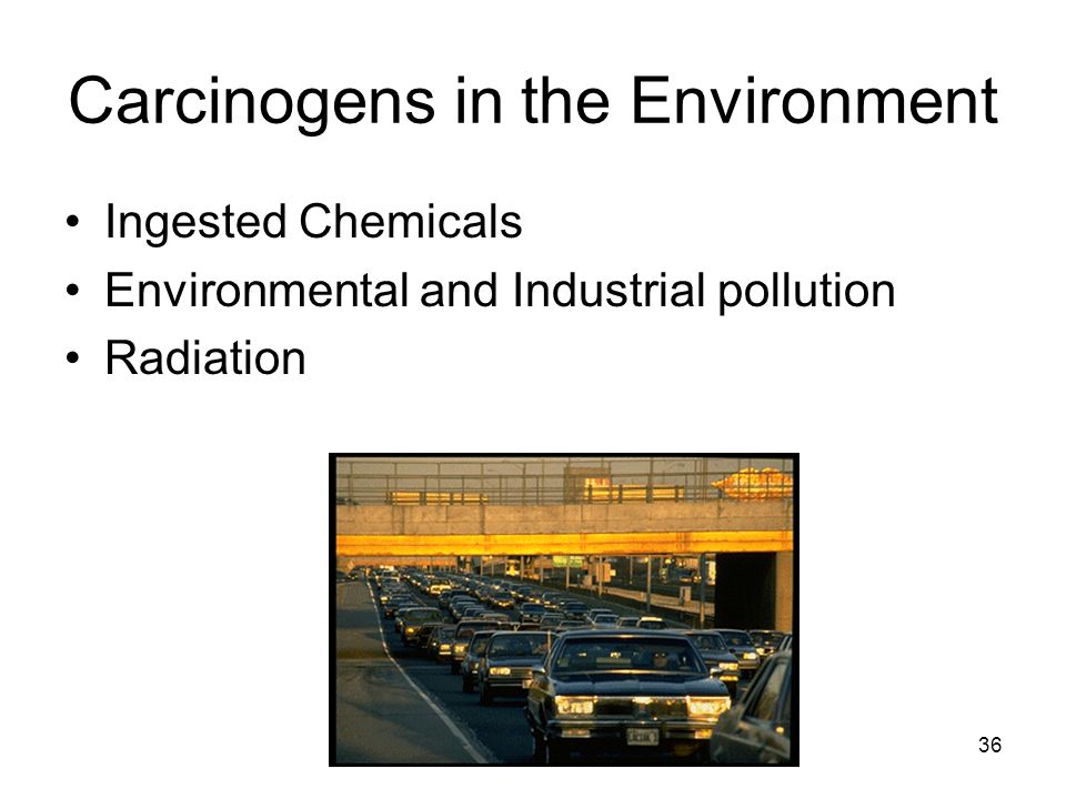 Carcinogens in the Environment