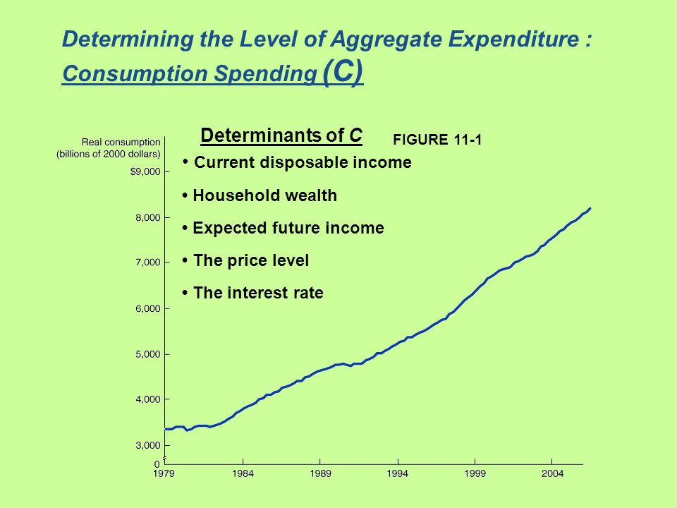 Determining the Level of Aggregate Expenditure : Consumption Spending (C)