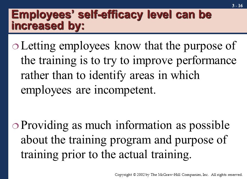 Employees’ self-efficacy level can be increased by: