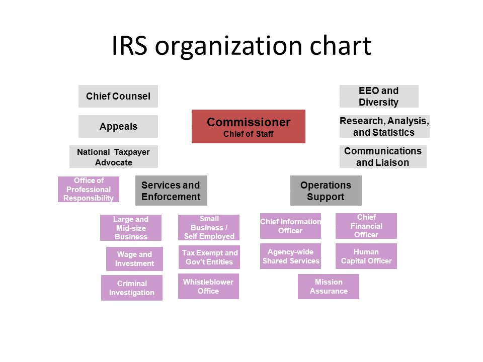 Irs Chief Counsel Organization Chart