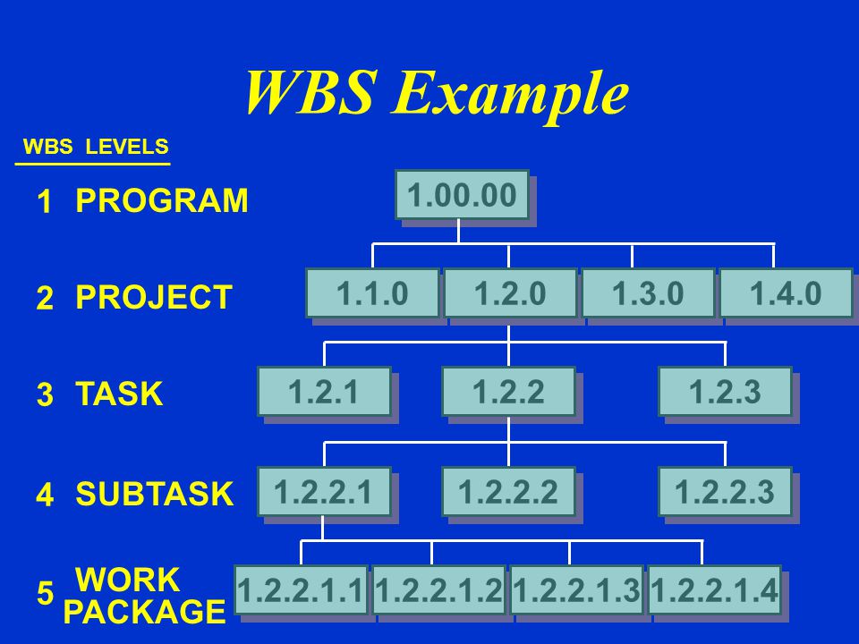 WBS Example PROGRAM 2 PROJECT TASK
