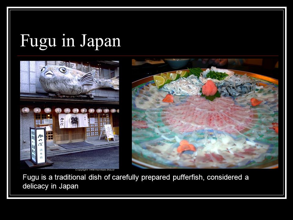 Fugu in Japan Fugu is a traditional dish of carefully prepared pufferfish, considered a delicacy in Japan.