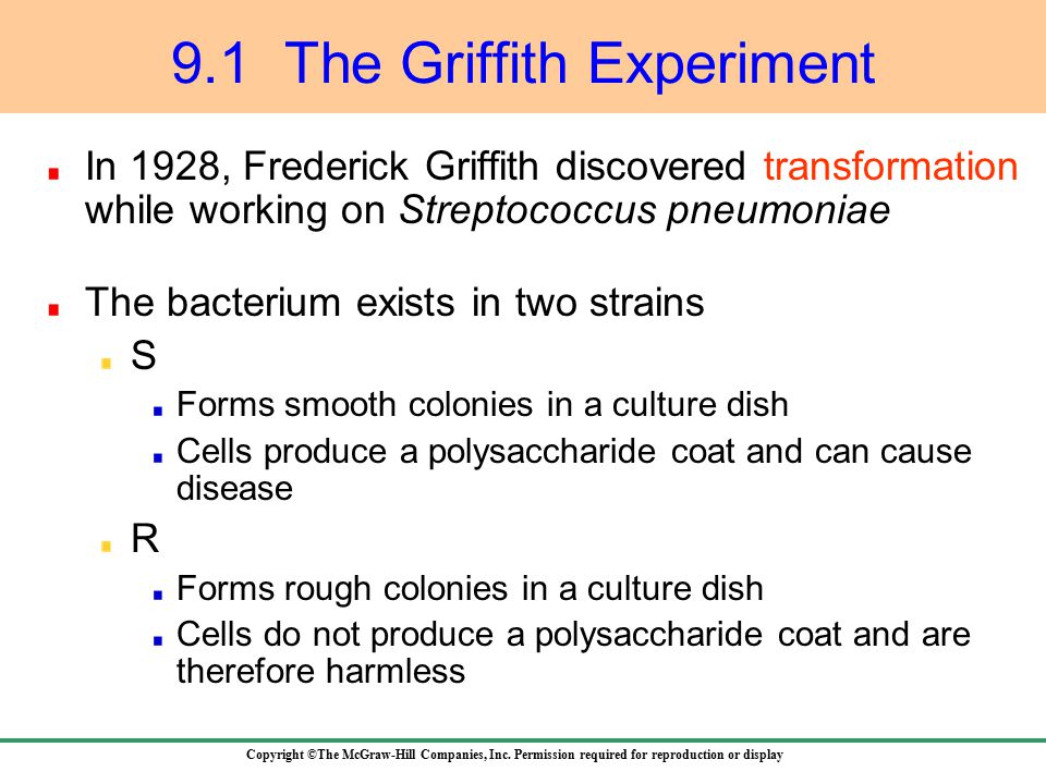 what did frederick griffith discover