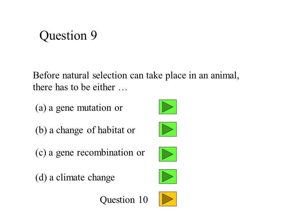 Question 9 Before natural selection can take place in an animal, there has to be either … (a) a gene mutation or.