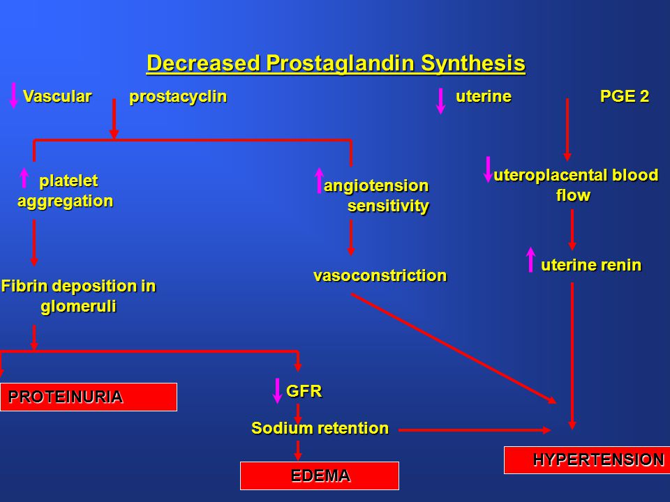 Decreased Prostaglandin Synthesis