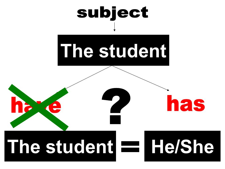 The student The student He/She