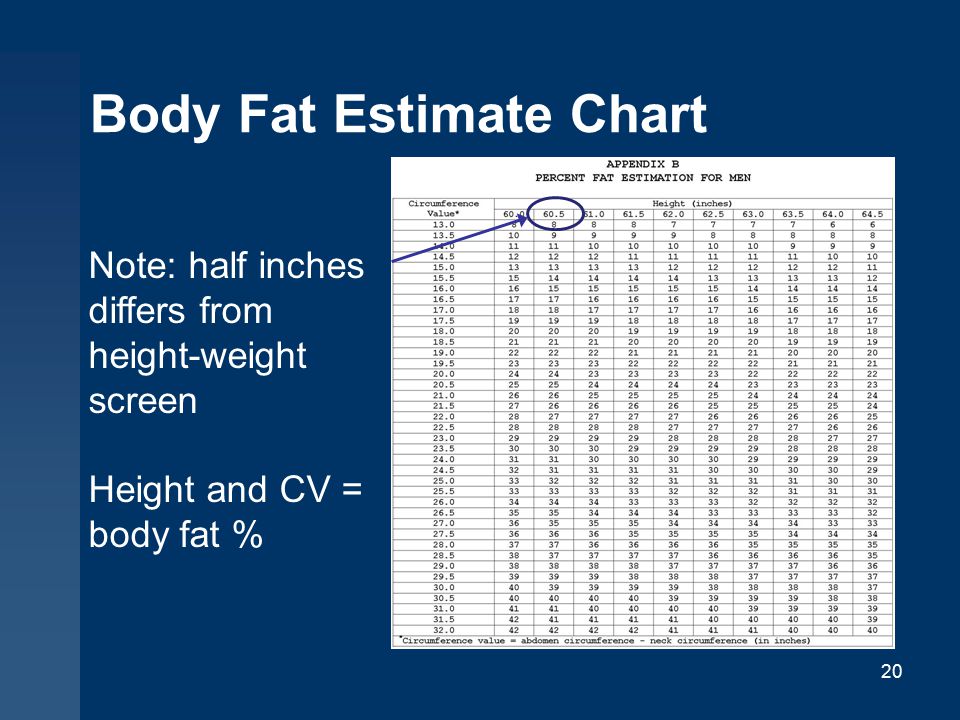 Dod Body Fat Chart
