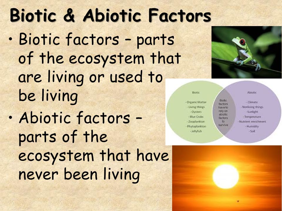 Biotic and abiotic venn diagram