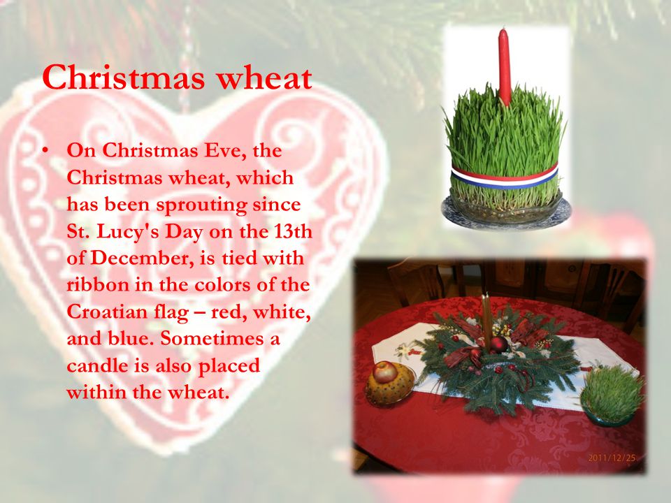 Christmas wheat