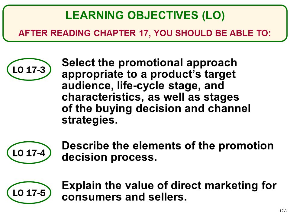 Describe the elements of the promotion decision process.