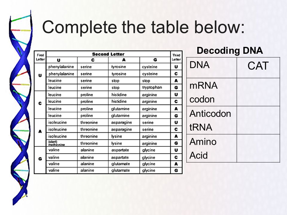 Dna Decoding Chart