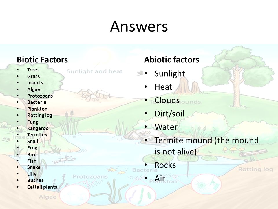 Answers Biotic Factors Abiotic factors Sunlight Heat Clouds Dirt/soil.