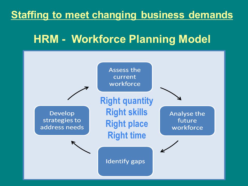 Staffing to meet changing business demands HRM - Workforce Planning Model