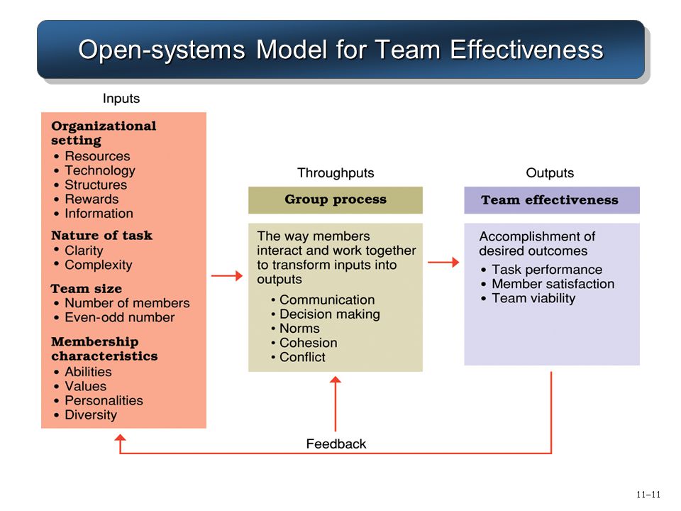Open-systems Model for Team Effectiveness